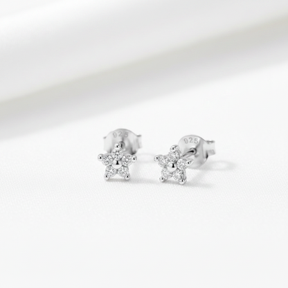 A pair of silver star-shaped stud earrings with clear gemstones, displayed on a textured light green surface with white flowers and green leaves in the background.