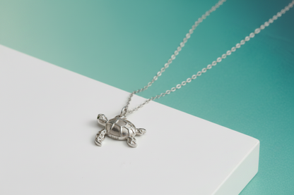 Silver turtle pendant necklace on a white surface with a teal background