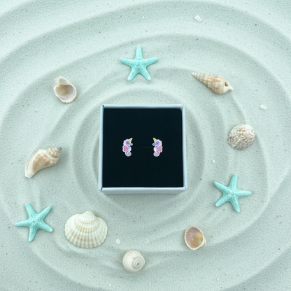 Seahorse in box nautical